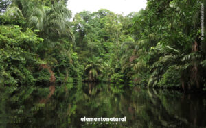 visit-costarican-caribbean