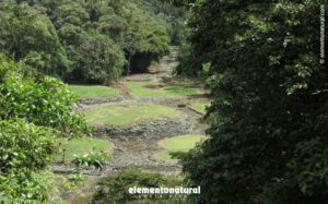 visit-caribbean-costa-rica