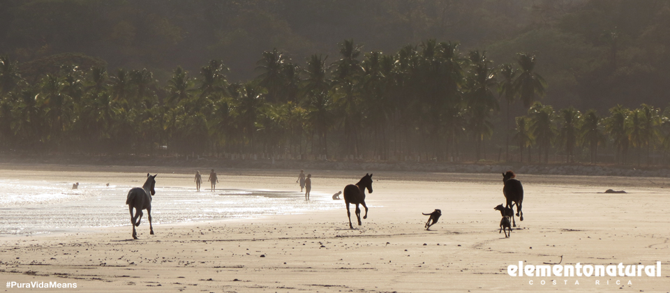 costa-rica-what-does-pura-vida-means