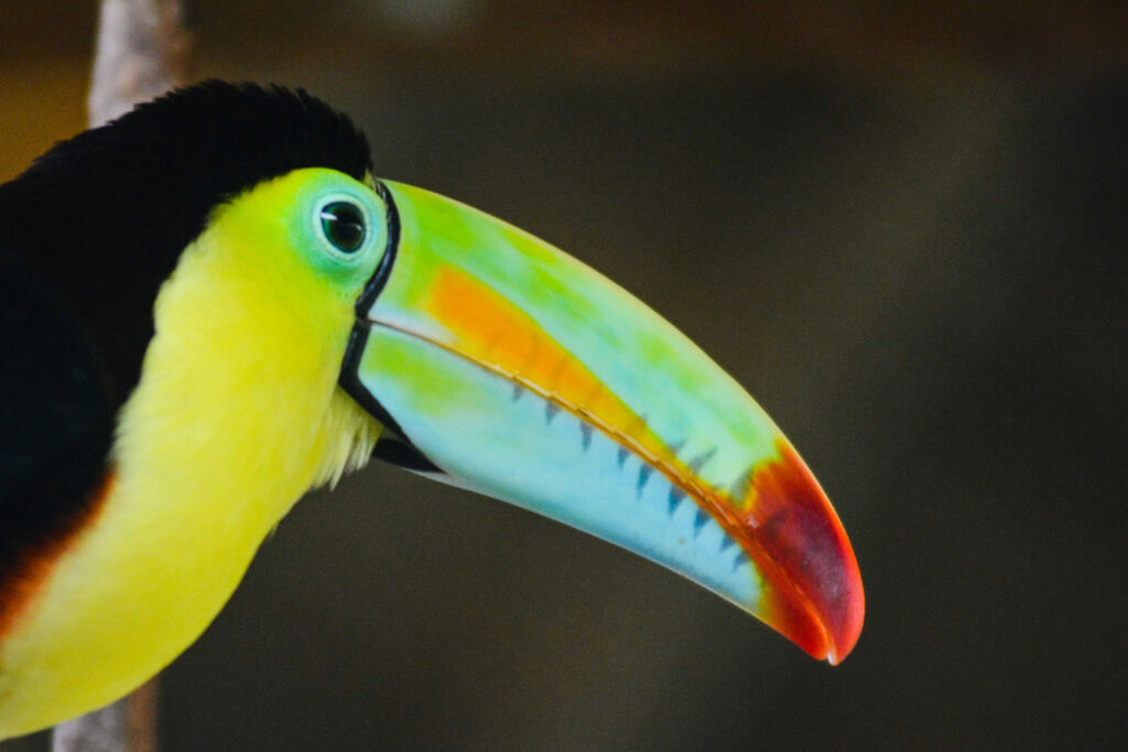 visit-costa-rica